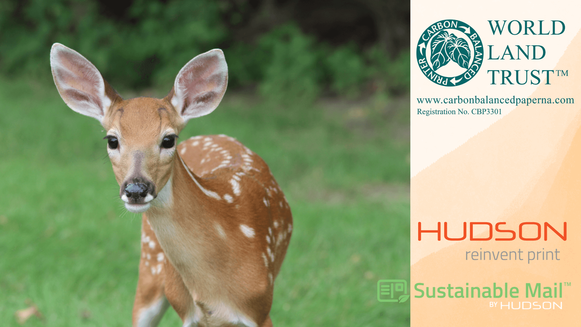 photo of baby deer next to logos for World Land Trust Carbon Balanced Print & Paper, Hudson Printing, and Sustainable Mail by Hudson